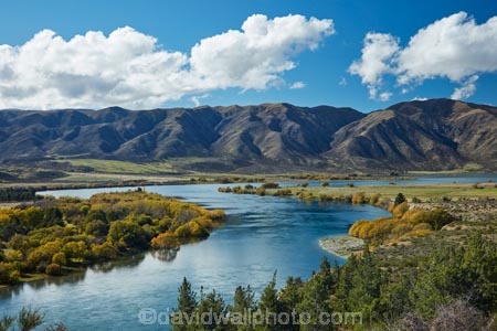 autuminal;autumn;autumn-colour;autumn-colours;autumnal;color;colors;colour;colours;deciduous;fall;Fishermans-Bend;Fishermans-Bend;gold;golden;lake;Lake-Waitaki;lakes;leaf;leaves;N.Z.;New-Zealand;North-Otago;NZ;Otago;S.I.;season;seasonal;seasons;SI;South-Island;Sth-Is;Sth-Is.;tree;trees;Waitaki;Waitaki-District;Waitaki-Region;Waitaki-River;Waitaki-Valley;yellow
