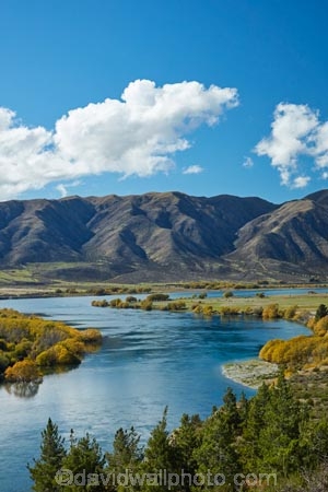 autuminal;autumn;autumn-colour;autumn-colours;autumnal;color;colors;colour;colours;deciduous;fall;Fishermans-Bend;Fishermans-Bend;gold;golden;lake;Lake-Waitaki;lakes;leaf;leaves;N.Z.;New-Zealand;North-Otago;NZ;Otago;S.I.;season;seasonal;seasons;SI;South-Island;Sth-Is;Sth-Is.;tree;trees;Waitaki;Waitaki-District;Waitaki-Region;Waitaki-River;Waitaki-Valley;yellow