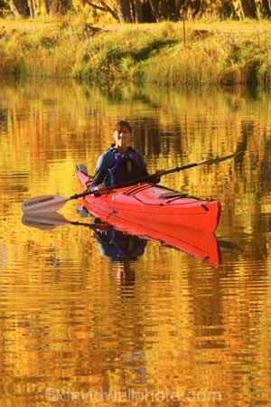 Autumn;blue;calm;calmness;canoe;canoeing;canoes;color;colors;colour;Colours;cyan;fall;kayak;kayaking;kayaks;lake;lake-Benmore;lakes;leaf;leaves;meridian;new-zealand;north-otago;outdoor;outdoors;outside;paddle;paddles;paddling;peaceful;peacefulness;people;person;quiet;quietness;recreation;red;reflection;reflections;rest;restful;restfulness;sailors-cutting;Sailors-Cutting;season;seasonal;seasons;silence;south-island;tranquil;tranquility;tree;trees;Waitaki-Valley;water;weeping-willow;weeping-willows;willow;willows;yellow;yellow-golden