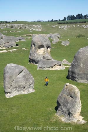 Elephant-Rocks;geological;geology;New-Zealand;North-Otago;Otago;people;person;rock;rock-formation;rock-formations;rock-outcrop;rock-outcrops;rock-tor;rock-torr;rock-torrs;rock-tors;rocks;sedementary;skull;South-Island;stone;tourisit;unusual;unusual-formations;unusual-rocks;Waitaki;Waitaki-District