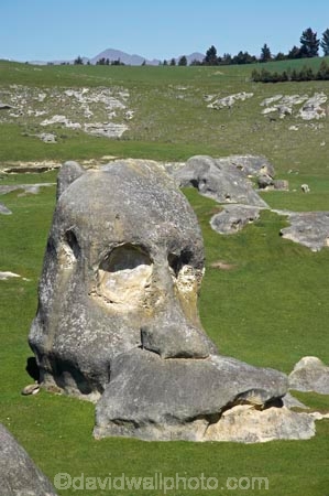 Elephant-Rocks;geological;geology;New-Zealand;North-Otago;Otago;rock;rock-formation;rock-formations;rock-outcrop;rock-outcrops;rock-tor;rock-torr;rock-torrs;rock-tors;rocks;sedementary;skull;South-Island;stone;Waitaki;Waitaki-District