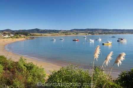 bay;bays;beach;beaches;coast;coastal;coastline;coastlines;coasts;Cortaderia-toetoe;fishing-boat;fishing-boats;foreshore;Moeraki;Moeraki-Fishing-Village;N.Z.;New-Zealand;North-Otago;NZ;ocean;Pacific-Ocean;S.I.;sea;seaside-town;seaside-towns;seaside-village;seaside-villages;sheltered-bay;shore;shoreline;shorelines;shores;SI;South-Is;South-Island;toetoe;toetoe-flower;toetoe-flowers;toetoes;Waitaki-District;Waitaki-Region;water