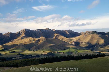 agricultural;agriculture;Blue-Mountains;country;countryside;Dunback;East-Otago;farm;farming;farmland;farms;field;fields;meadow;meadows;N.Z.;New-Zealand;NZ;Otago;paddock;paddocks;pasture;pastures;Razorback-Range;rural;S.I.;SI;South-Is.;South-Island