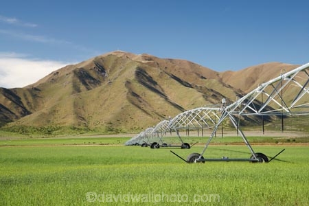 agicultural-machine;agricultural;agriculture;automatic-irrigation;Benmore-Range;centre-pivot-irrigation;country;countryside;crop;crops;cultivation;farm;farm-equipment;farm-implements;farm-machinery;farming;farmland;farms;field;fields;grow;growing;horticulture;irrigate;irrigated-land;irrigation;irrigation-equipment;irrigation-scheme;irrigator;machine;machines;meadow;meadows;mobile-irrigation;N.Z.;New-Zealand;North-Otago;NZ;Otago;paddock;paddocks;pasture;pastures;pivoting-boom-irrigation;rotary-irrigation;rural;S.I.;SI;South-Is.;South-Island;spray;sprays;sprinkers;sprinkler;Waitaki-District;Waitaki-Region;Waitaki-Valley