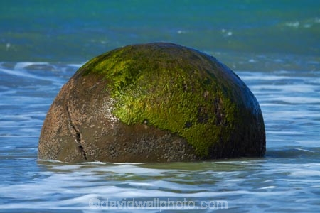 beach;beaches;boulder;coast;coastal;coastline;coastlines;coasts;concretion;foreshore;formation;geological;geology;marble;marbles;Moeraki;Moeraki-Boulder;Moeraki-Boulders;N.Z.;New-Zealand;North-Otago;NZ;ocean;Otago;Pacific-Ocean;rock;rocks;round;S.I.;sea;sedimentary;shore;shoreline;shorelines;shores;SI;South-Is;South-Is.;South-Island;sphere;Sth-Is;unusual-geologocal-feature;unusual-geologocal-features;unusual-natural-feature;unusual-natural-features;unusual-rock;unusual-rocks;Waikati-District;Waitaki-District;Waitaki-Region;water