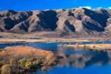 autumn;autumnal;fall;gold;golden;hydro-lake;hydro_electric;lakes;ranges;scenary;scenery;scenic;tree;trees;water;willow;willows