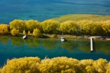 autuminal;autumn;autumn-colour;autumn-colours;autumnal;color;colors;colour;colours;deciduous;dock;docks;fall;gold;golden;jetties;jetty;lake;Lake-Benmore;lakes;leaf;leaves;N.Z.;New-Zealand;North-Otago;NZ;Otago;pier;piers;quay;quays;S.I.;Sailors-Cutting;Sailors-Cutting;season;seasonal;seasons;SI;South-Island;Sth-Is;Sth-Is.;tree;trees;Waitaki;Waitaki-District;Waitaki-Region;Waitaki-Valley;waterside;wharf;wharfes;wharves;willow;willow-tree;willow-trees;willows;yellow