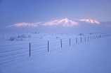 branch;cold;dusk;fence;freeze;freezing;frost;frosty;hoar;ice;last-light;mountain;mountains;slippery;snow;sunset;tree;twilight;winter
