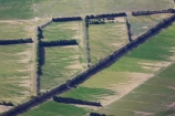 aerial;aerial-photo;aerial-photography;aerial-photos;aerials;agricultural;agriculture;country;countryside;crop;crops;farm;farming;farmland;farms;field;fields;horticulture;irrigate;irrigation;meadow;meadows;N.Z.;New-Zealand;North-Otago;NZ;Omarama;Otago;paddock;paddocks;pasture;pastures;row;rows;rural;shelter-belt;shelter-belts;shelter_belt;shelter_belts;shelterbelt;shelterbelts;South-Island;wind-break;wind-breaks;wind_break;wind_breaks;windbreak;windbreaks