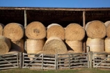 agriculture;Ahuriri-Valley;barn;barns;circle;circular;country;countryside;drought;dry;farm;farm-building;farm-buildings;farming;farmland;farms;field;fields;gate;gates;hay;hay-bales;hay-barn;hay-barns;hay-shed;hay-sheds;haybarn;haybarns;hayshed;haysheds;meadow;meadows;New-Zealand;North-Otago;old-building;old-buildings;Otago;paddock;paddocks;pasture;pastures;round;round-hay-bales;rural;rustic;shed;sheds;South-Island;straw;summer;Waitaki-District