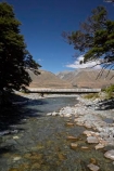 beautiful;beauty;Beech-Forest;beech-forests;beech-tree;beech-trees;bridge;bridges;brook;brooks;bush;creek;creeks;endemic;flow;forest;forests;green;Lake-Ohau;Mackenzie-Country;N.Z.;native;native-bush;natives;natural;nature;New-Zealand;North-Otago;Nothofagus;NZ;Ohau-Conservation-Area;river;rivers;S.I.;scene;scenic;SI;South-Island;southern-beeches;stream;streams;Temple-Stream;Temple-Valley;tree;trees;Waitaki-District;water;wet;wood;woods