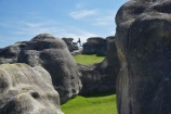 Elephant-Rocks;geological;geology;New-Zealand;North-Otago;Otago;people;person;rock;rock-formation;rock-formations;rock-outcrop;rock-outcrops;rock-tor;rock-torr;rock-torrs;rock-tors;rocks;sedementary;South-Island;stone;tourisit;unusual;unusual-formations;unusual-rocks;Waitaki;Waitaki-District