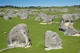 Elephant-Rocks;geological;geology;New-Zealand;North-Otago;Otago;rock;rock-formation;rock-formations;rock-outcrop;rock-outcrops;rock-tor;rock-torr;rock-torrs;rock-tors;rocks;sedementary;sheep;South-Island;stone;Waitaki;Waitaki-District