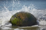 beach;beaches;boulder;coast;coastal;coastline;coastlines;coasts;concretion;foreshore;formation;geological;geology;marble;marbles;Moeraki;Moeraki-Boulder;Moeraki-Boulders;N.Z.;New-Zealand;North-Otago;NZ;ocean;Otago;rock;rocks;round;S.I.;sand;sea;sedimentary;shore;shoreline;shorelines;shores;SI;South-Is;South-Is.;South-Island;sphere;splash;splashes;splashing;unusual-geologocal-feature;unusual-geologocal-features;unusual-natural-feature;unusual-natural-features;unusual-rock;unusual-rocks;Waikati-District;Waitaki-District;Waitaki-Region;water;wave;waves
