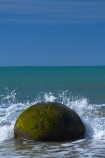 beach;beaches;boulder;coast;coastal;coastline;coastlines;coasts;concretion;foreshore;formation;geological;geology;marble;marbles;Moeraki;Moeraki-Boulder;Moeraki-Boulders;N.Z.;New-Zealand;North-Otago;NZ;ocean;Otago;Pacific-Ocean;rock;rocks;round;S.I.;sand;sea;sedimentary;shore;shoreline;shorelines;shores;SI;South-Is;South-Is.;South-Island;sphere;splash;splashes;splashing;Sth-Is;unusual-geologocal-feature;unusual-geologocal-features;unusual-natural-feature;unusual-natural-features;unusual-rock;unusual-rocks;Waikati-District;Waitaki-District;Waitaki-Region;water;wave;waves