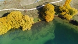 A2O;aerial;Aerial-drone;Aerial-drones;aerial-image;aerial-images;aerial-photo;aerial-photograph;aerial-photographs;aerial-photography;aerial-photos;aerial-view;aerial-views;aerials;Alps-2-Ocean;Alps-2-Ocean-cycle-trail;Alps-to-ocean;Alps-to-ocean-cycle-trail;autuminal;autumn;autumn-colour;autumn-colours;autumnal;Benmore;bike-track;bike-tracks;bike-trail;bike-trails;color;colors;colour;colours;cycle-track;cycle-tracks;cycle-trail;cycle-trails;cycleway;cycleways;deciduous;Drone;Drones;fall;gold;golden;lake;Lake-Benmore;lakes;N.Z.;New-Zealand;North-Otago;NZ;Otago;Quadcopter-aerial;Quadcopters-aerials;S.I.;season;seasonal;seasons;SI;South-Is;South-Island;Sth-Is;Sth-Is.;tree;trees;U.A.V.-aerial;UAV-aerials;Waitaki;Waitaki-District;Waitaki-Region;Waitaki-Valley;willow;willow-tree;willow-trees