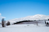 agricultural;agriculture;cold;country;countryside;crop;crops;cultivation;farm;farming;farmland;farms;field;fields;freeze;freezing;grape;grapes;grapevine;horticulture;N.Z.;New-Zealand;North-Otago;NZ;Otago;row;rows;rural;S.I.;season;seasonal;seasons;SI;snow;snowy;South-Island;vine;vines;vineyard;vineyards;vintage;Waitaki-District;Waitaki-Valley;white;wine;wineries;winery;wines;winter;wintery