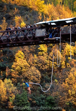 wet;water;splash;rubber;river;adrenaline;adventure;exciting;jump;splashing;bungee;jumping;leap;leaping;stunning;risk;excitment;thrill;thrill_seeking;thrill_seeker;cord;bungy-cord;rope;Queenstown;platform;bungy-platform;point-of-departure;audience;spectators;jumper;jumped