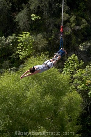 action;adrenaline;adventure;adventure-tourism;adventure-travel;bridge;bridges;bungee;bungee-jump;bungee-jumping;bungy;bungy-cord;bungy-jump;bungy-jumping;bungy-platform;bunjee;bunjee-jump;bunjee-jumping;bunjy;bunjy-jump;bunjy-jumping;Central-Otago;cord;elastic;excitement;exciting;excitment;frightening;jump;jumping;Kawarau-Gorge;Kawarau-River;leap;leaping;N.Z.;New-Zealand;NZ;Otago;platform;Queenstown-District;Queenstown-Road;risk;rope;rubber;S.I.;scary;SI;sky;South-Is.;South-Island;Southern-Lakes;Southern-Lakes-District;Southern-Lakes-Region;thrill;thrill_seeker;thrill_seeking