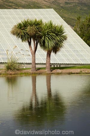 cabbage-tree;Cabbage-trees;calm;Central-Otago;central-otago-vineyard;central-otago-vineyards;central-otago-wineries;central-otago-winery;Gibbston-Valley;N.Z.;New-Zealand;NZ;Otago;Peregrine-Winery;Peregrine-Wines;placid;pond;ponds;quiet;reflection;reflections;S.I.;serene;SI;smooth;South-Is.;South-Island;Southern-Lakes;Southern-Lakes-District;Southern-Lakes-Region;still;tranquil;vineyard;vineyards;water;wineage;wineries;winery;winery-building
