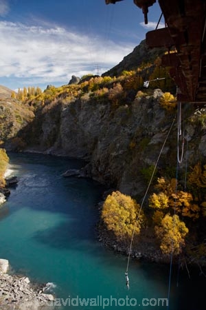 action;adrenaline;adventure;adventure-tourism;adventure-travel;autuminal;autumn;autumn-colour;autumn-colours;autumnal;bridge;bridges;bungee;bungee-jump;bungee-jumping;bungy;bungy-cord;bungy-jump;bungy-jumping;bungy-platform;bunjee;bunjee-jump;bunjee-jumping;bunjy;bunjy-jump;bunjy-jumping;Central-Otago;color;colors;colour;colours;cord;deciduous;elastic;excitement;exciting;excitment;fall;frightening;jump;jumping;Kawarau-Bridge;Kawarau-Gorge;Kawarau-River;leaf;leap;leaping;leaves;N.Z.;New-Zealand;NZ;Otago;platform;Queenstown;Queenstown-District;Queenstown-Road;risk;river;rivers;rope;rubber;S.I.;scary;season;seasonal;seasons;SI;sky;South-Is;South-Is.;South-Island;Southern-Lakes;Southern-Lakes-District;Southern-Lakes-Region;thrill;thrill_seeker;thrill_seeking;tree;trees