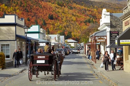 Arrowtown;autuminal;autumn;autumn-colour;autumn-colours;autumnal;Buckingham-St;Buckingham-Street;building;buildings;carriage;carriages;color;colors;colour;colours;deciduous;fall;heritage;historic;historic-building;historic-buildings;historical;historical-building;historical-buildings;history;horse-and-carriage;horse-and-carriages;leaf;leaves;N.Z.;New-Zealand;NZ;old;Otago;people;person;S.I.;season;seasonal;seasons;shopper;shoppers;SI;South-Is;South-Is.;South-Island;Southern-Lakes;Southern-Lakes-District;Southern-Lakes-Region;tradition;traditional;tree;trees