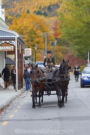 Arrowtown;autuminal;autumn;autumn-colour;autumn-colours;autumnal;Buckingham-St;Buckingham-Street;building;buildings;carriage;carriages;color;colors;colour;colours;deciduous;fall;heritage;historic;historic-building;historic-buildings;historical;historical-building;historical-buildings;history;horse-and-carriage;horse-and-carriages;leaf;leaves;N.Z.;New-Zealand;NZ;old;Otago;people;person;S.I.;season;seasonal;seasons;SI;South-Is;South-Is.;South-Island;Southern-Lakes;Southern-Lakes-District;Southern-Lakes-Region;tradition;traditional;tree;trees