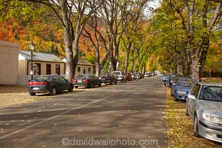 Arrowtown;autuminal;autumn;autumn-colour;autumn-colours;autumnal;avenue;avenues;Buckingham-St;Buckingham-Street;building;buildings;car;cars;color;colors;colour;colours;cottage;cottages;deciduous;fall;heritage;historic;historic-building;historic-buildings;historic-cottage;historic-cottages;historical;historical-building;historical-buildings;historical-cottage;historical-cottages;history;leaf;leaves;N.Z.;New-Zealand;NZ;old;Otago;parked-car;parked-cars;S.I.;season;seasonal;seasons;SI;South-Is;South-Is.;South-Island;Southern-Lakes;Southern-Lakes-District;Southern-Lakes-Region;tradition;traditional;tree;trees