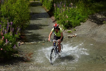 Arrow-River;Arrow-River-Bridges-Ride;Arrowtown-cycle-track;Arrowtown-cycle-trail;bicycle;bicycles;bike;bike-track;bike-tracks;bike-trail;bike-trails;bikes;biking;brook;brooks;creek;creeks;cycle;cycle-track;cycle-tracks;cycle-trail;cycle-trails;cycler;cyclers;cycles;cycling;cyclist;cyclists;leisure;mountain-bike;mountain-biker;mountain-bikers;mountain-bikes;mtn-bike;mtn-biker;mtn-bikers;mtn-bikes;N.Z.;New-Zealand;NZ;Otago;people;person;push-bike;push-bikes;push_bike;push_bikes;pushbike;pushbikes;Queenstown-Bike-Trail;Queenstown-Cycle-Trail;Queenstown-Trail;Queenstown-Trails;recreation;river;rivers;S.I.;SI;South-Is;South-Island;Southern-Lakes;Southern-Lakes-District;Southern-Lakes-Region;splash;splashing;Sth-Is;stream;streams;tourism;tourist;tourists;water;wet