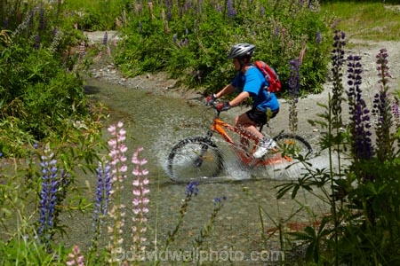 Arrow-River;Arrow-River-Bridges-Ride;Arrowtown-cycle-track;Arrowtown-cycle-trail;bicycle;bicycles;bike;bike-track;bike-tracks;bike-trail;bike-trails;bikes;biking;brook;brooks;creek;creeks;cycle;cycle-track;cycle-tracks;cycle-trail;cycle-trails;cycler;cyclers;cycles;cycling;cyclist;cyclists;leisure;mountain-bike;mountain-biker;mountain-bikers;mountain-bikes;mtn-bike;mtn-biker;mtn-bikers;mtn-bikes;N.Z.;New-Zealand;NZ;Otago;people;person;push-bike;push-bikes;push_bike;push_bikes;pushbike;pushbikes;Queenstown-Bike-Trail;Queenstown-Cycle-Trail;Queenstown-Trail;Queenstown-Trails;recreation;river;rivers;S.I.;SI;South-Is;South-Island;Southern-Lakes;Southern-Lakes-District;Southern-Lakes-Region;splash;splashing;Sth-Is;stream;streams;tourism;tourist;tourists;water;wet