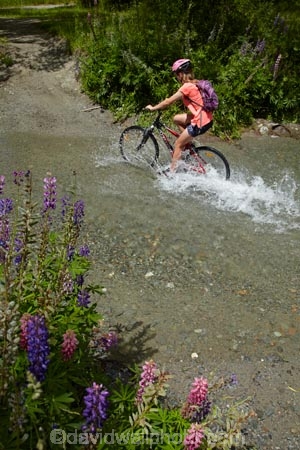 Arrow-River;Arrow-River-Bridges-Ride;Arrowtown-cycle-track;Arrowtown-cycle-trail;bicycle;bicycles;bike;bike-track;bike-tracks;bike-trail;bike-trails;bikes;biking;brook;brooks;creek;creeks;cycle;cycle-track;cycle-tracks;cycle-trail;cycle-trails;cycler;cyclers;cycles;cycling;cyclist;cyclists;leisure;mountain-bike;mountain-biker;mountain-bikers;mountain-bikes;mtn-bike;mtn-biker;mtn-bikers;mtn-bikes;N.Z.;New-Zealand;NZ;Otago;people;person;push-bike;push-bikes;push_bike;push_bikes;pushbike;pushbikes;Queenstown-Bike-Trail;Queenstown-Cycle-Trail;Queenstown-Trail;Queenstown-Trails;recreation;river;rivers;S.I.;SI;South-Is;South-Island;Southern-Lakes;Southern-Lakes-District;Southern-Lakes-Region;splash;splashing;Sth-Is;stream;streams;tourism;tourist;tourists;water;wet