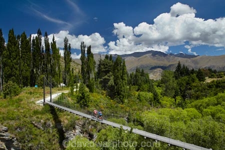 Arrow-River;Arrow-River-Bridges-Ride;Arrowtown;Arrowtown-cycle-track;Arrowtown-cycle-trail;bicycle;bicycles;bike;bike-track;bike-tracks;bike-trail;bike-trails;bikes;biking;bridge;bridges;cycle;cycle-track;cycle-tracks;cycle-trail;cycle-trails;cycler;cyclers;cycles;cycling;cyclist;cyclists;foot-bridge;foot-bridges;footbridge;footbridges;green;leisure;mountain-bike;mountain-biker;mountain-bikers;mountain-bikes;mtn-bike;mtn-biker;mtn-bikers;mtn-bikes;N.Z.;New-Zealand;NZ;Otago;pedestrian-bridge;pedestrian-bridges;people;person;poplar;poplar-tree;poplar-trees;poplars;push-bike;push-bikes;push_bike;push_bikes;pushbike;pushbikes;Queenstown-Bike-Trail;Queenstown-Cycle-Trail;Queenstown-Trail;Queenstown-Trails;recreation;S.I.;SI;South-Is;South-Island;Southern-Discoveries-Bridge;Southern-Lakes;Southern-Lakes-District;Southern-Lakes-Region;Sth-Is;suspension-bridge;suspension-bridges;swing-bridge;swing-bridges;tourism;tourist;tourists;tree;trees;wire-bridge;wire-bridges