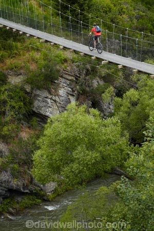 Arrow-River-Bridges-Ride;Arrowtown;Arrowtown-cycle-track;Arrowtown-cycle-trail;bicycle;bicycles;bike;bike-track;bike-tracks;bike-trail;bike-trails;bikes;biking;bridge;bridges;cycle;cycle-track;cycle-tracks;cycle-trail;cycle-trails;cycler;cyclers;cycles;cycling;cyclist;cyclists;foot-bridge;foot-bridges;footbridge;footbridges;green;leisure;mountain-bike;mountain-biker;mountain-bikers;mountain-bikes;mtn-bike;mtn-biker;mtn-bikers;mtn-bikes;N.Z.;New-Zealand;NZ;Otago;pedestrian-bridge;pedestrian-bridges;people;person;push-bike;push-bikes;push_bike;push_bikes;pushbike;pushbikes;Queenstown-Bike-Trail;Queenstown-Cycle-Trail;Queenstown-Trail;Queenstown-Trails;recreation;river;rivers;S.I.;SI;South-Is;South-Island;Southern-Discoveries-Bridge;Southern-Lakes;Southern-Lakes-District;Southern-Lakes-Region;Sth-Is;suspension-bridge;suspension-bridges;swing-bridge;swing-bridges;tourism;tourist;tourists;wire-bridge;wire-bridges