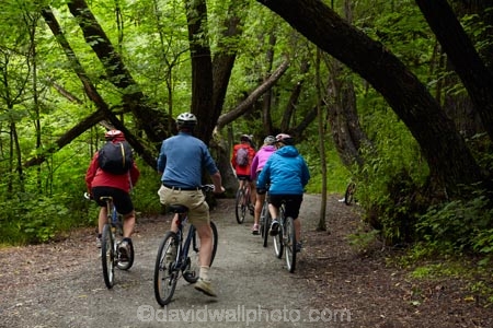 Arrow-River-Bridges-Ride;Arrowtown;Arrowtown-cycle-track;Arrowtown-cycle-trail;bicycle;bicycles;bike;bike-track;bike-tracks;bike-trail;bike-trails;bikes;biking;cycle;cycle-track;cycle-tracks;cycle-trail;cycle-trails;cycler;cyclers;cycles;cycling;cyclist;cyclists;green;leisure;mountain-bike;mountain-biker;mountain-bikers;mountain-bikes;mtn-bike;mtn-biker;mtn-bikers;mtn-bikes;N.Z.;New-Zealand;NZ;Otago;people;person;push-bike;push-bikes;push_bike;push_bikes;pushbike;pushbikes;Queenstown-Bike-Trail;Queenstown-Cycle-Trail;Queenstown-Trail;Queenstown-Trails;recreation;S.I.;SI;South-Is;South-Island;Southern-Lakes;Southern-Lakes-District;Southern-Lakes-Region;Sth-Is;tourism;tourist;tourists;tree;trees;willow-tree;willow-trees