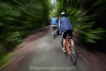 Arrow-River-Bridges-Ride;Arrowtown;Arrowtown-cycle-track;Arrowtown-cycle-trail;bicycle;bicycles;bike;bike-track;bike-tracks;bike-trail;bike-trails;bikes;biking;cycle;cycle-track;cycle-tracks;cycle-trail;cycle-trails;cycler;cyclers;cycles;cycling;cyclist;cyclists;green;leisure;mountain-bike;mountain-biker;mountain-bikers;mountain-bikes;mtn-bike;mtn-biker;mtn-bikers;mtn-bikes;N.Z.;New-Zealand;NZ;Otago;people;person;push-bike;push-bikes;push_bike;push_bikes;pushbike;pushbikes;Queenstown-Bike-Trail;Queenstown-Cycle-Trail;Queenstown-Trail;Queenstown-Trails;recreation;S.I.;SI;South-Is;South-Island;Southern-Lakes;Southern-Lakes-District;Southern-Lakes-Region;Sth-Is;tourism;tourist;tourists;tree;trees;willow-tree;willow-trees