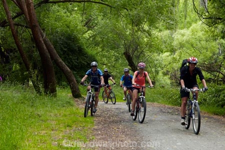 Arrow-River-Bridges-Ride;Arrowtown;Arrowtown-cycle-track;Arrowtown-cycle-trail;bicycle;bicycles;bike;bike-track;bike-tracks;bike-trail;bike-trails;bikes;biking;cycle;cycle-track;cycle-tracks;cycle-trail;cycle-trails;cycler;cyclers;cycles;cycling;cyclist;cyclists;green;leisure;mountain-bike;mountain-biker;mountain-bikers;mountain-bikes;mtn-bike;mtn-biker;mtn-bikers;mtn-bikes;N.Z.;New-Zealand;NZ;Otago;people;person;push-bike;push-bikes;push_bike;push_bikes;pushbike;pushbikes;Queenstown-Bike-Trail;Queenstown-Cycle-Trail;Queenstown-Trail;Queenstown-Trails;recreation;S.I.;SI;South-Is;South-Island;Southern-Lakes;Southern-Lakes-District;Southern-Lakes-Region;Sth-Is;tourism;tourist;tourists;tree;trees;willow-tree;willow-trees