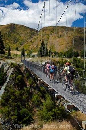Arrow-gorge;Arrow-River;Arrow-River-Bridges-Ride;Arrowtown;Arrowtown-cycle-track;Arrowtown-cycle-trail;bicycle;bicycles;bike;bike-track;bike-tracks;bike-trail;bike-trails;bikes;biking;bridge;bridges;cycle;cycle-track;cycle-tracks;cycle-trail;cycle-trails;cycler;cyclers;cycles;cycling;cyclist;cyclists;foot-bridge;foot-bridges;footbridge;footbridges;gorge;gorges;leisure;mountain-bike;mountain-biker;mountain-bikers;mountain-bikes;mtn-bike;mtn-biker;mtn-bikers;mtn-bikes;N.Z.;New-Zealand;NZ;Otago;pedestrian-bridge;pedestrian-bridges;people;person;push-bike;push-bikes;push_bike;push_bikes;pushbike;pushbikes;Queenstown-Bike-Trail;Queenstown-Cycle-Trail;Queenstown-Trail;Queenstown-Trails;recreation;S.I.;SI;South-Is;South-Island;Southern-Lakes;Southern-Lakes-District;Southern-Lakes-Region;Sth-Is;suspension-bridge;suspension-bridges;swing-bridge;swing-bridges;tourism;tourist;tourists;wire-bridge;wire-bridges