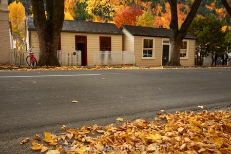 Arrowtown;Arrowtown-cottages;autuminal;autumn;autumn-colour;autumn-colours;autumnal;Buckingham-St;Buckingham-Street;building;buildings;color;colors;colour;colours;cottage;cottages;deciduous;fall;gold;golden;heritage;historic;historic-building;historic-buildings;historic-cottage;historic-cottages;historical;historical-building;historical-buildings;historical-cottage;historical-cottages;history;leaf;leaves;N.Z.;New-Zealand;NZ;old;Otago;Queenstown;S.I.;season;seasonal;seasons;SI;South-Is;South-Is.;South-Island;Southern-Lakes;Southern-Lakes-District;Southern-Lakes-Region;Sth-Is;tradition;traditional;tree;trees;yellow