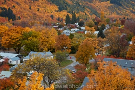 Arrowtown;Arrowtown-Hill;autuminal;autumn;autumn-colour;autumn-colours;autumnal;central-otago;color;colors;colour;colours;conifer;conifers;deciduous;fall;gold;golden;larch;leaf;leaves;mountain-ash;N.Z.;near-Queenstown;New-Zealand;NZ;orange;orange-mountain-ash;Otago;pine;pine-tree;pine-trees;pines;Queenstown;rowan;rowan-tree;rowan-trees;S.I.;season;seasonal;seasons;SI;sorbus;Sorbus-aucaparia;South-Is;South-Is.;South-Island;Southern-Lakes;Southern-Lakes-District;Southern-Lakes-Region;Sth-Is;tree;trees;yellow