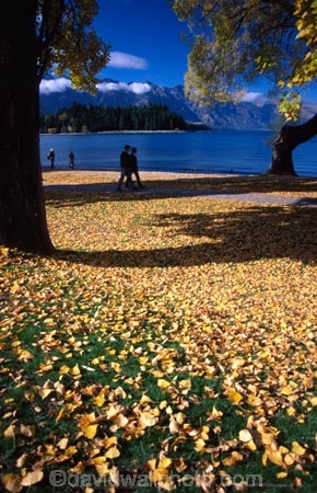 tree;trees;yellow;fall;leaf;leaves;color;colors;colour;colours;lake;lakes;mountain;mountains;distant;distance;person;people;holiday;holidays;vacation;vacations;relax;relaxing;autumn;shadow;shadows;shade