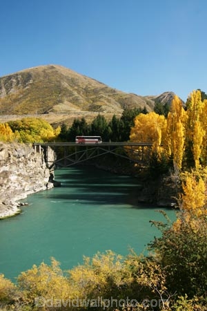 Autumn;bridge;bridges;central-otago;color;colour;fall;gold;golden;Kawarau-Gorge;Kawarau-River;New-Zealand;poplar;poplars;Queenstown-Road;river;rivers;season;seasonal;seasons;South-Island;tree;trees;valley;valleys;victoria-bridge;willow;willows;yellow