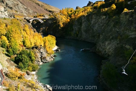 action;adventure;adventure-tourism;Autumn;bridge;bridges;bungee;bungy;bunjee;central-otago;color;colour;excitement;fall;gold;golden;historic;historical;kawarau-bridge;Kawarau-Gorge;Kawarau-River;New-Zealand;poplar;poplars;Queenstown-Road;river;rivers;season;seasonal;seasons;South-Island;tree;trees;valley;valleys;willow;willows;yellow