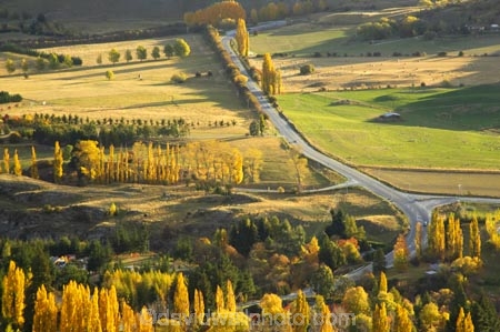 agricultural;agriculture;arrow-junction;arrowtown;autuminal;autumn;autumnal;bend;bends;central-otago;color;colors;colour;colours;corner;corners;country;countryside;deciduous;driving;fall;farm;farming;farmland;farms;field;fields;highway;highways;horticulture;leaf;leaves;meadow;meadows;new-zealand;open-road;open-roads;paddock;paddocks;pasture;pastures;poplar;poplar-tree;poplar-trees;poplars;queenstown;road;road-trip;roads;rural;south-island;straight;transport;transportation;travel;traveling;travelling;tree;trees;trip;wakatipu-basin