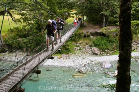 beautiful;beauty;Beech-Forest;bridge;bridges;bush;endemic;foot-bridge;foot-bridges;footbridge;footbridges;forest;forests;great-walk;green;hike;hiker;hikers;hiking;hiking-track;hiking-tracks;mt-aspiring-national-park;national-parks;native;native-bush;natives;natural;nature;New-Zealand;Nothofagus;pedestrian-bridge;pedestrian-bridges;rain-forest;rain-forests;rain_forest;rain_forests;rainforest;rainforests;river;routeburn;routeburn-track;scene;scenic;southern-beeches;swing-bridge;swing-bridges;timber;track;tracks;tramp;tramper;trampers;tramping;tree;tree-trunk;tree-trunks;trees;trek;treker;trekers;treking;trekker;trekkers;trekking;trunk;trunks;walk;walker;walkers;walking;walking-track;walking-tracks;wire-bridge;wire-bridges;wood;woods