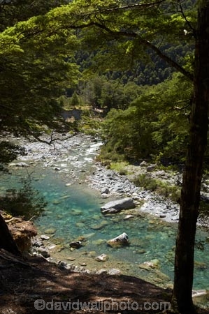 beautiful;beauty;Beech-Forest;bush;clean-water;clear-water;endemic;forest;forests;green;Greenstone-River;Greenstone-Track;Greenstone-Valley;N.Z.;native;native-bush;natives;natural;nature;New-Zealand;Nothofagus;NZ;Otago;pathways;pure-water;rain-forest;rain-forests;rain_forest;rain_forests;rainforest;rainforests;river;rivers;S.I.;scene;scenic;SI;South-Is.;South-Island;southern-beeches;subtropical-rainforest;subtropical-rainforests;Te-Ara-Roa;Te-Araroa;Te-Araroa-Pathway;Te-Araroa-Walkway;The-Long-Pathway;The-Long-Walkway;timber;tramping-track;tramping-tracks;tramping-trail;tramping-trails;tree;trees;trekking-track;trekking-tracks;trekking-trail;trekking-trails;walking-track;walking-tracks;walking-trail;walking-trails;walkway;walkways;wood;woods