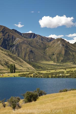lake;lakes;Moke-Lake;Moonlight-Track;N.Z.;New-Zealand;NZ;Otago;Queenstown;S.I.;SI;South-Is.;South-Island;Southern-Lakes;Southern-Lakes-District;Southern-Lakes-Region;summer