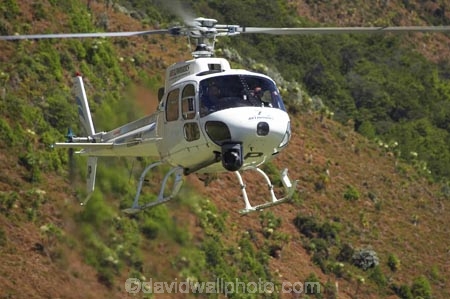air-craft;Air-Games;aircraft;aircrafts;aviating;aviation;aviator;aviators;chopper;choppers;Diamond-Lake;flight;flights;fly;flyer;flyers;flying;Glenorchy;Helicopter;Helicopters;hover;hovering;N.Z.;New-Zealand;New-Zealand-Air-Games;NZ;NZ-Air-Games;Otago;Paradise;pilot;pilots;rotor;S.I.;SI;sky;South-Island;tourism;tourist-flight;tourist-flights