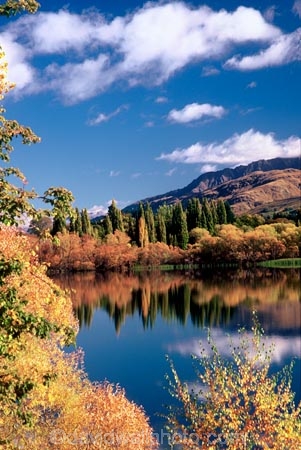fall;lakes;leaf;leaves;poplar;poplars;reflection;reflections;still;tree;trees;water;willow;willows;yellow