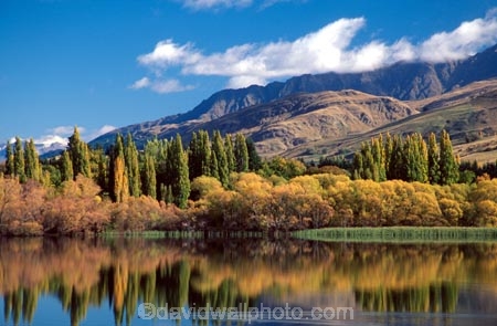 fall;lakes;leaf;leaves;poplar;poplars;reflection;reflections;tree;trees;wakatipu-basin;willow;willows;yellow