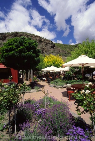 al-fresco;alfresco;cafe;courtyard;crop;crops;cultivation;drink;eating;farm;farming;farms;field;fields;food;grape;grapes;grapevine;horticulture;lunch;outdoor;restaurant;rural;table;tables;umbrella;umbrellas;vine;vines;vineyard;vineyards;vintage;wine;wineries;winery;wines
